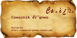 Csesznik Ágnes névjegykártya
