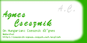 agnes csesznik business card